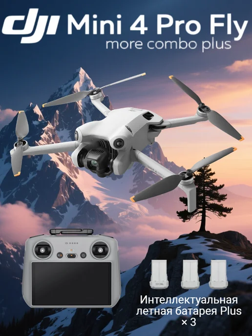Mini 4 Pro Fly More Combo Plus